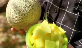 娱乐吃瓜屋,吃瓜屋带你探秘明星幕后故事