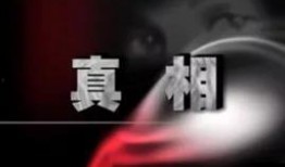 天津六套直播在线观看,天津六套精彩节目，一键观看不错过